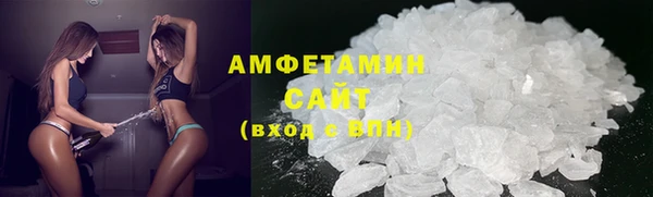прущие грибы Надым