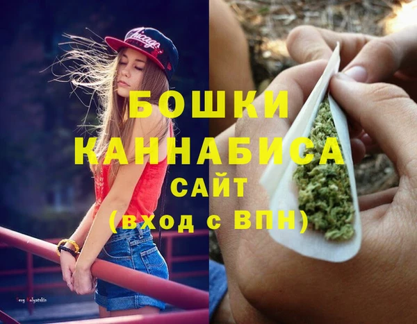 прущие грибы Надым