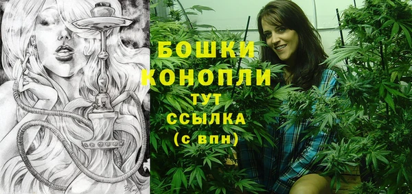 прущие грибы Надым