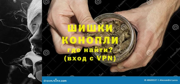 ECSTASY Михайлов