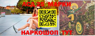 крисы Кингисепп