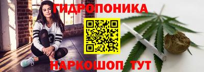 молекула духа Кулебаки