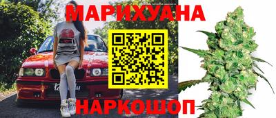 крисы Апшеронск