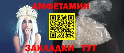 крисы Кингисепп