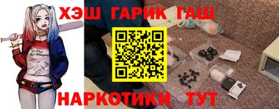 крисы Кингисепп