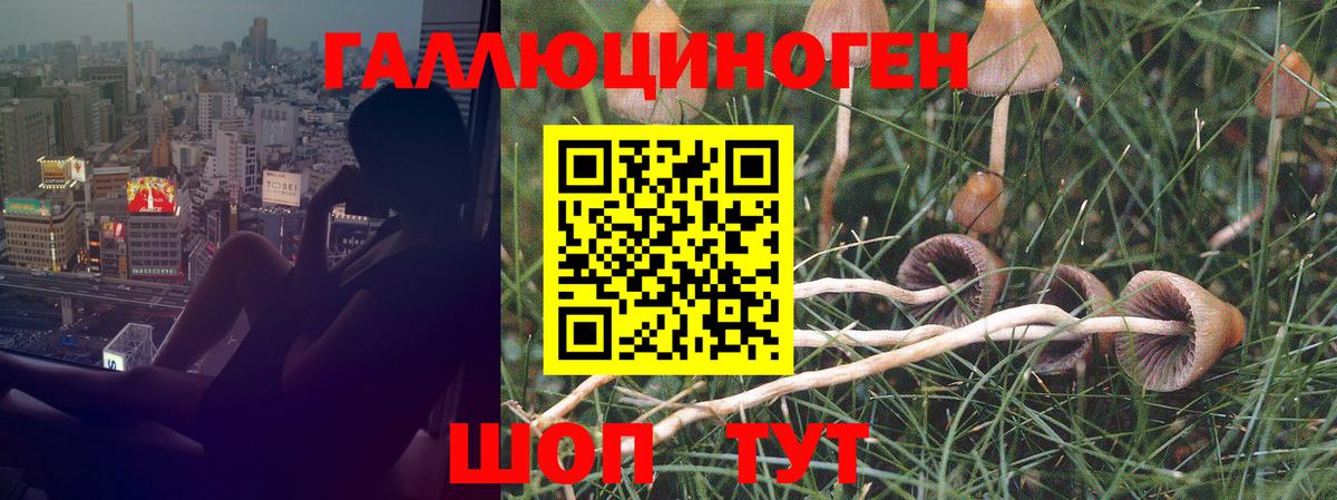 Псилоцибиновые грибы мухоморы  Топки 