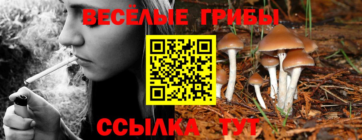 Топки  Галлюциногенные грибы ЛСД  Вход с VPN 