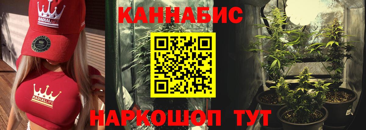 Бошки марихуана AK-47  Топки  МАРИХУАНА планчик  Канабис индика 